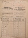 1. soap-pj_00302_census-sum-1890-nepomuk_0010