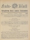 5. amtsblatt-stadtamhof-1910-01-01-n1_0050
